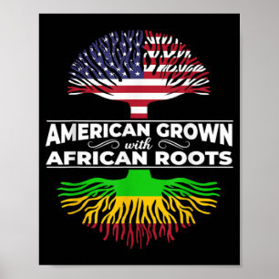 1 American Grown African Roots USA flagga Black Hi Poster