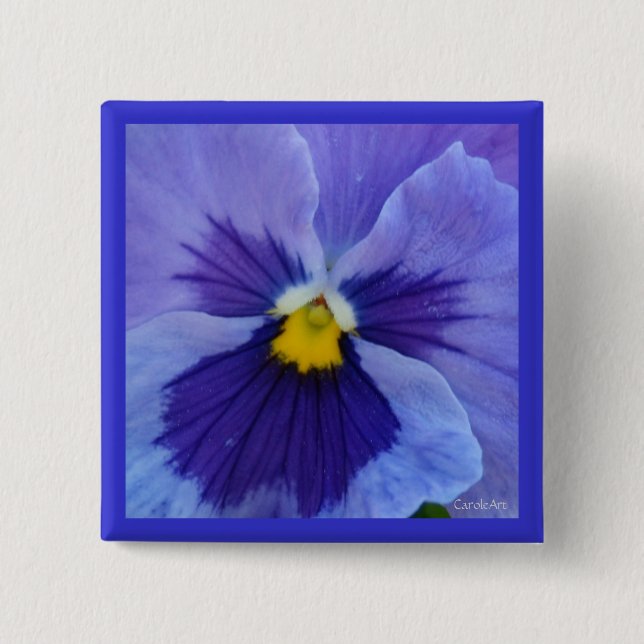 1 blåttskönhetPansy Knapp (Framsida)