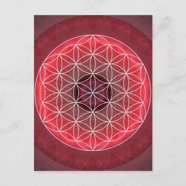 1 Chakra Flower of Life Red Vykort (Framsida)