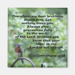 1 Corinthians15:58 Magnet