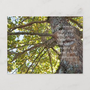 1 Corinthians 13:13 Träd Grenar vykort