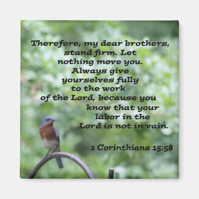 1 Corinthians 15:58 Magnet (Framsidan)