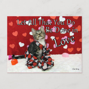 1 Corinthians 16:14 Bible Verse Postcard Vykort