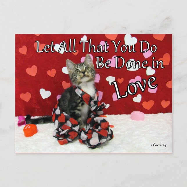 1 Corinthians 16:14 Bible Verse Postcard Vykort (Framsida)