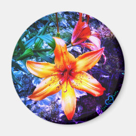 1 DAYLILLY MAGNET
