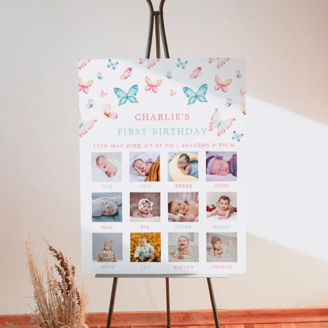 1:e födelsedag månatlig fotosignatur regnbågsfjäri poster (1St Birthday Monthly Photo Sign Rainbow Butterfly)