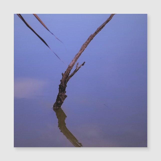 #1-Etang de Scamandre en Camargue. Aimant (Framsida)