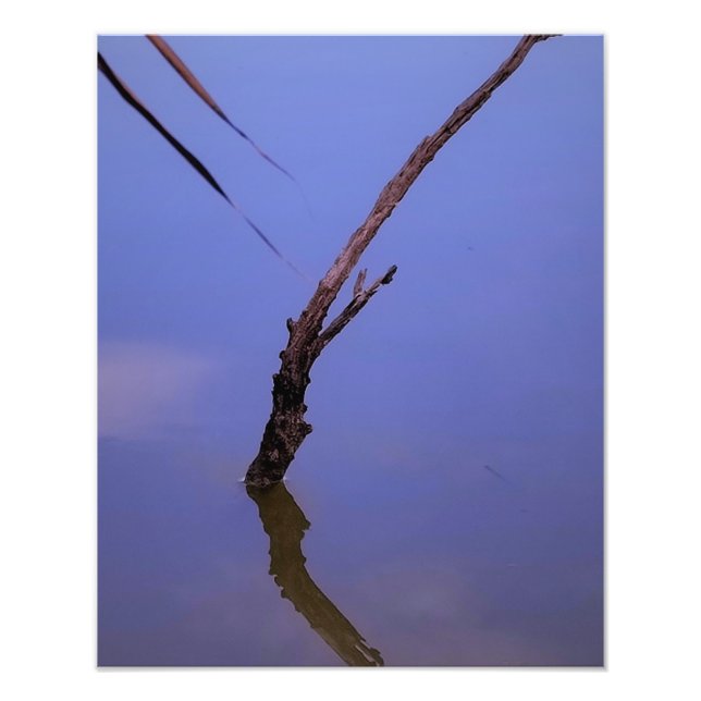 #1-Etang de Scamandre en Camargue.  Fototryck (Framsidan)