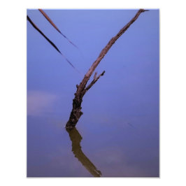 #1-Etang de Scamandre en Camargue.  Fototryck