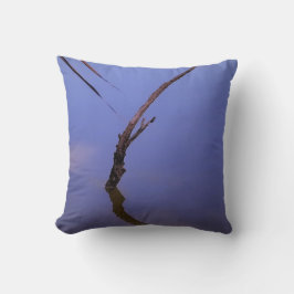 #1-Etang de Scamandre en Camargue.  Kudde