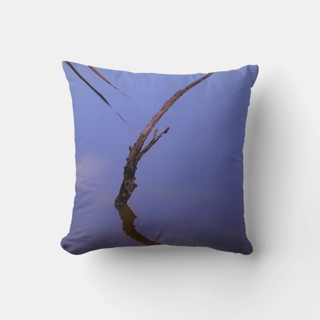 #1-Etang de Scamandre en Camargue.  Kudde (Framsida)