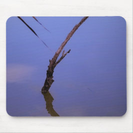 #1-Etang de Scamandre en Camargue. Musmatta