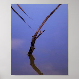 #1-Etang de Scamandre en Camargue. Poster