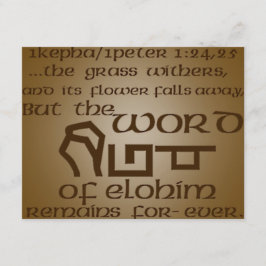 1 Kepha/1 Peter 1:24,25