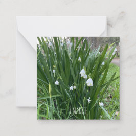 1 Marit Note-kort Anteckningskort