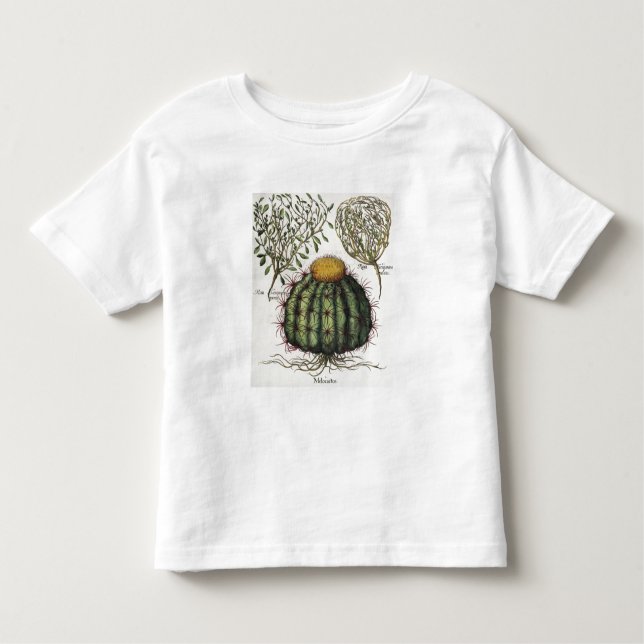 1.Melocactus; aperta för 2.Rosa Hiericontea; hög T-shirt (Framsida)