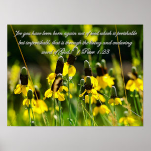 1 Peter 1:23 Idékterande Poster