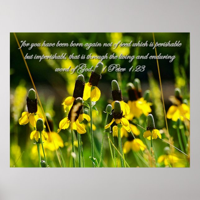 1 Peter 1:23 Idékterande Poster (Framsidan)