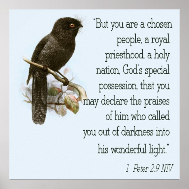 1 Peter 2:9 Christian Scripture Poster Bible Verse (Framsidan)