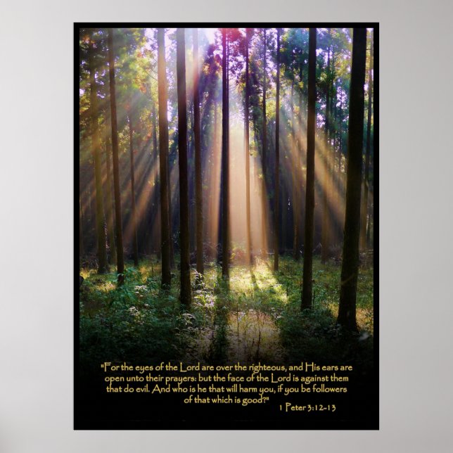 1 Peter 3:12-13 Christian Bible Verse Poster (Framsidan)