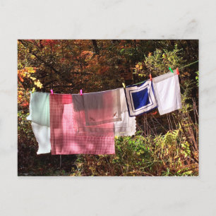 1 POSTCARD Clothesline Vykort