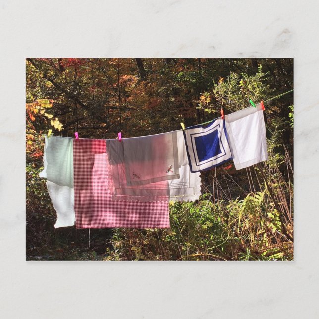 1 POSTCARD Clothesline Vykort (Framsida)
