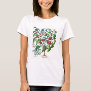1.Solanum Pomiferum; 2.Amaracus som är vulgaris, T-shirt