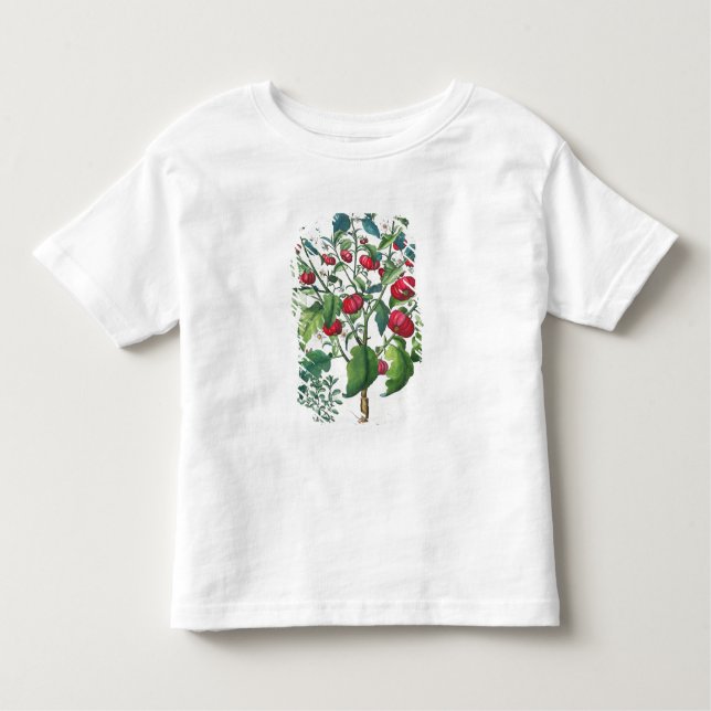 1.Solanum Pomiferum; 2.Amaracus som är vulgaris, T-shirt (Framsida)