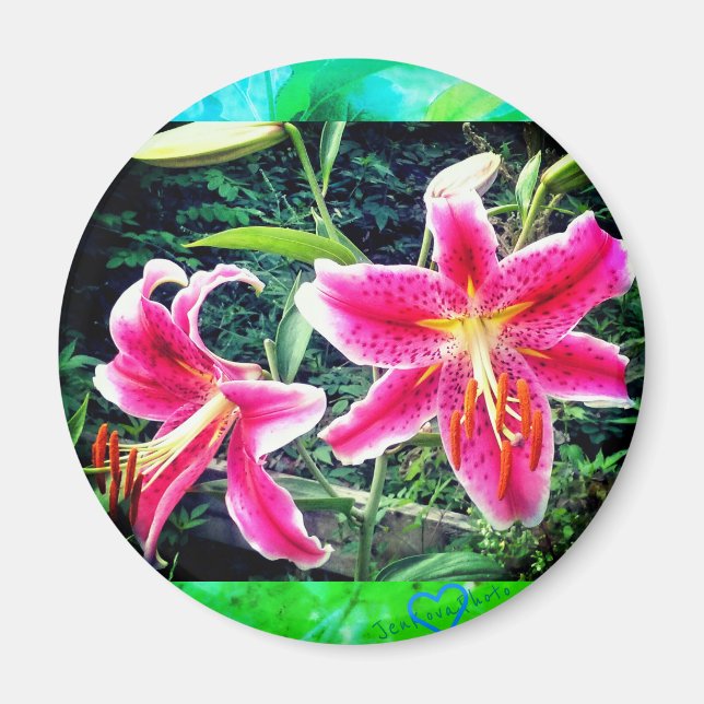 1 STARGARE MAGNET (Framsidan)