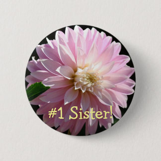 #1 Syster! knappar Rosa Dahlia Blomma Blommig