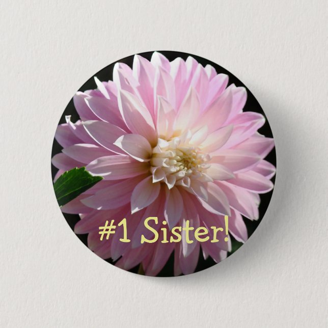#1 Syster! knappar Rosa Dahlia Blomma Blommig (Framsida)