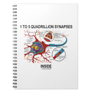 1 till 5 Quadribiljon Synapses Inside Neuron Synap Anteckningsbok