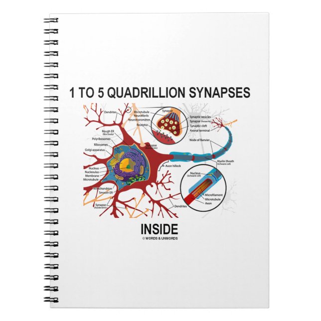 1 till 5 Quadribiljon Synapses Inside Neuron Synap Anteckningsbok (Framsidan)