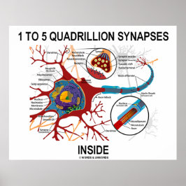 1 till 5 Quadribiljon Synapses Inside Neuron Synap Poster