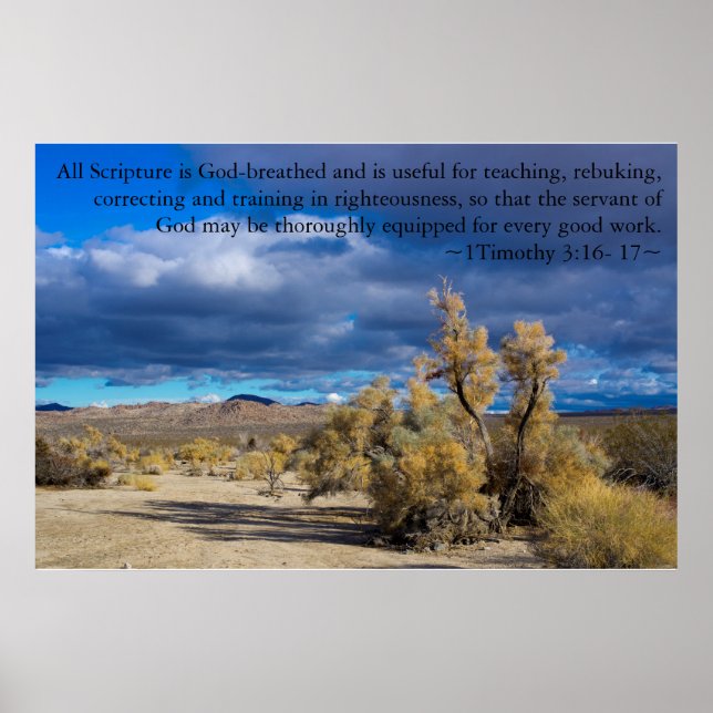 1 Timothy 3:16, 17 Smoke Bush Poster (Framsidan)