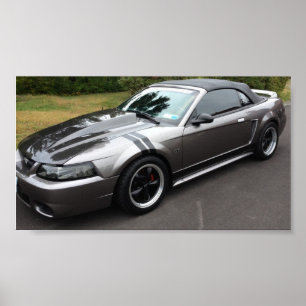 2000 mustangs konvertibel poster
