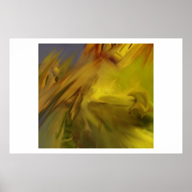 2001 POSTER (Framsidan)