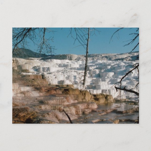 2003 - Jellowstone 01 Vykort (Framsida)