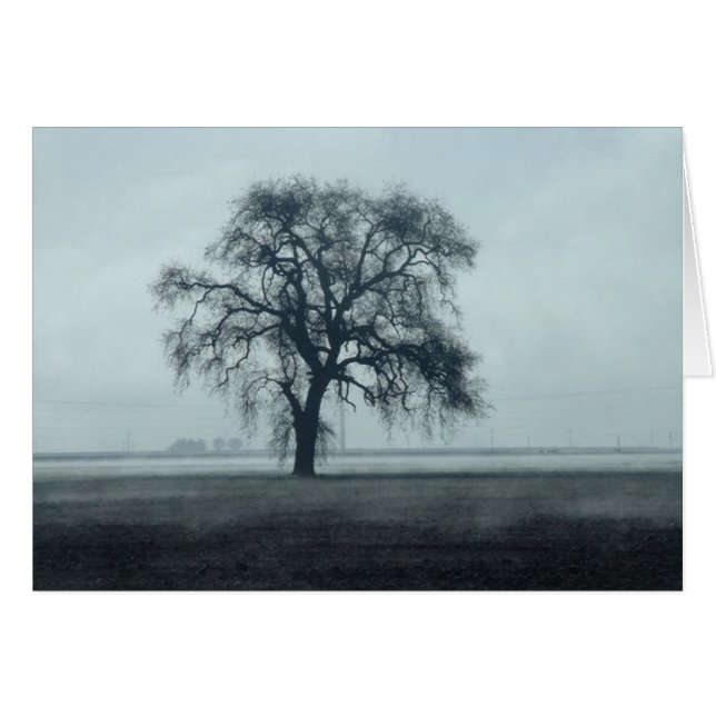 2004February 260 Hälsningskort (Framsidan Horizontal)