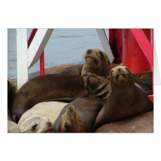 2005 augusti 089 hälsningskort