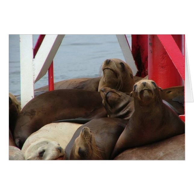 2005 augusti 089 hälsningskort (Framsidan Horizontal)