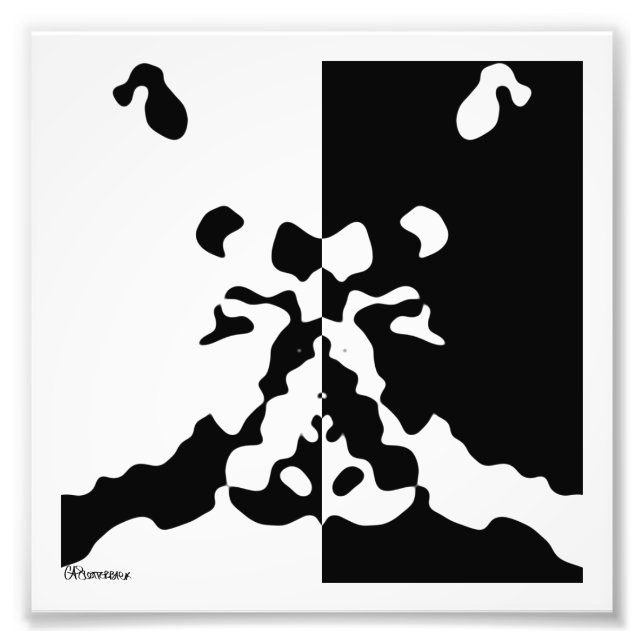 2006_0031 Notan Fototryck (Framsidan)