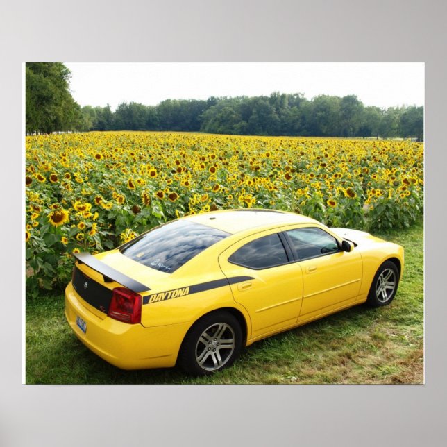 2006 Dodge Charger R/T Top Banana Poster (Framsidan)