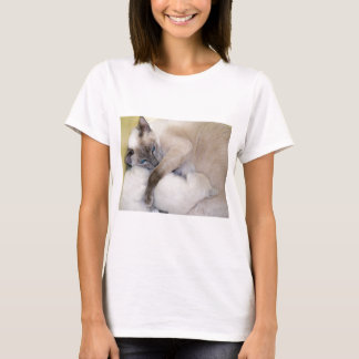 2007 07 06 katter 005_edited-1 tee shirt