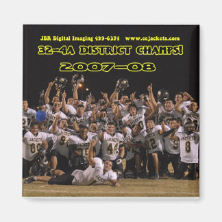 2007 32-4a Distriktskamrar Magnet