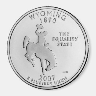 2007 Wyoming State Quarter Magnet