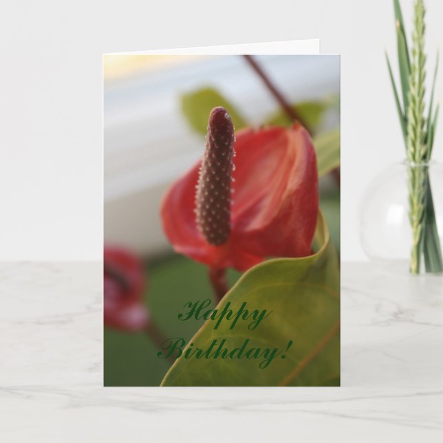 20080427_4 grattis på födelsedagen! kort (Framsida)