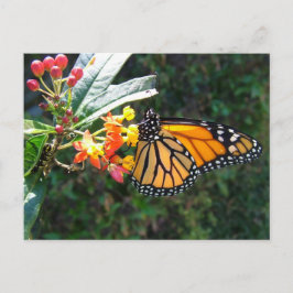 2008_0109_114022 VYKORT