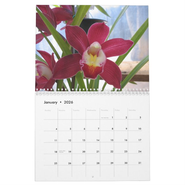 2008 ett år av Orchids Kalender (Jan 2026)