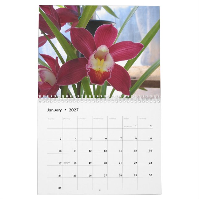 2008 ett år av Orchids Kalender (Jan 2027)